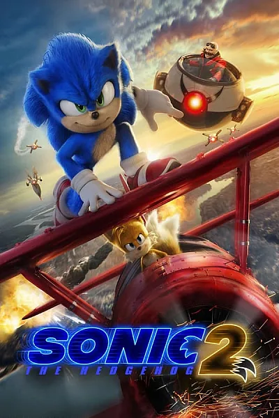 Nhím Sonic 2 - Sonic the Hedgehog 2