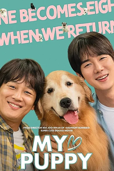 Tìm Nhà Cho Boss - My Heart Puppy