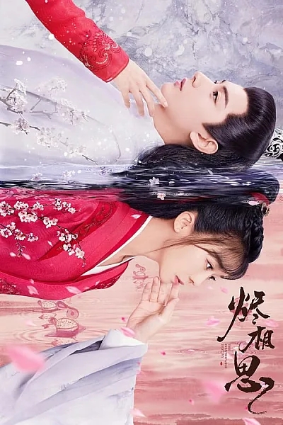 Tẫn Tương Tư - The Inextricable Destiny