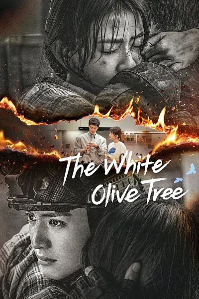 Cây Ô Liu Màu Trắng - The White Olive Tree