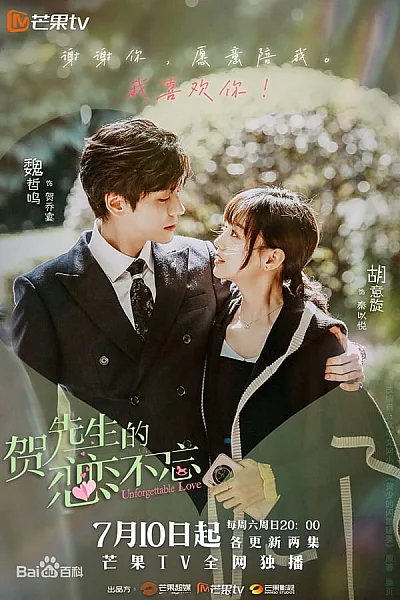 Nỗi Vương Vấn Của Hạ Tiên Sinh - Unforgettable Love