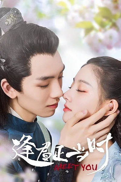 Gặp Chàng Đúng Lúc - Meet You