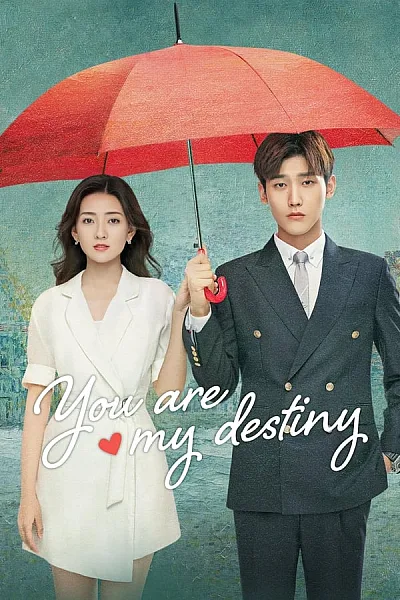 Em Là Định Mệnh Đời Anh - You Are My Destiny