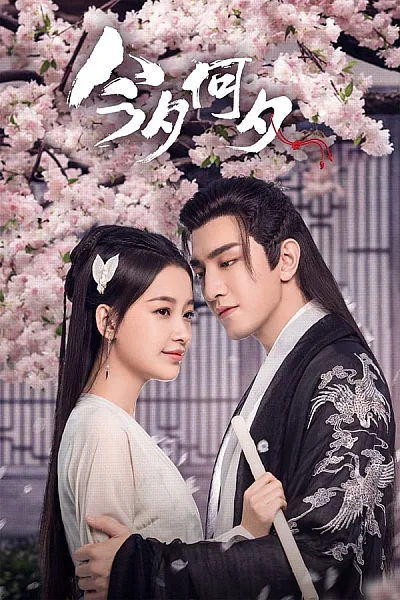 Kim Tịch Hà Tịch - Twisted Fate of Love